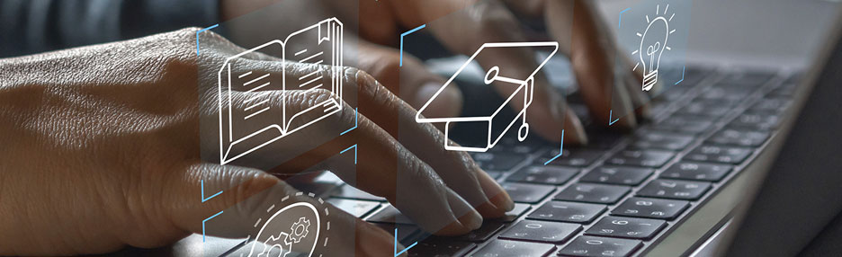 Distribuidor Independiente